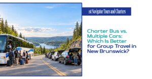 Charter Bus vs. Multiple Cars: Which Is Better for Group Travel in New Brunswick?